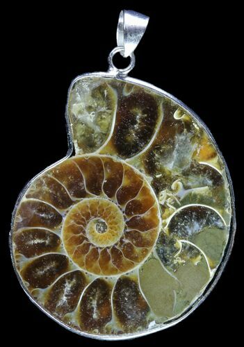 Fossil Ammonite Pendant - Million Years Old #89845